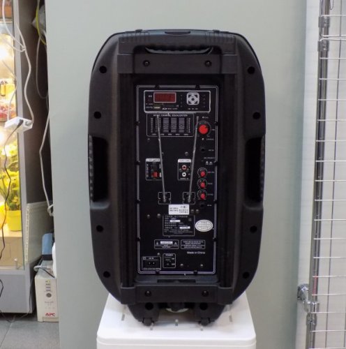 Активная акустическая